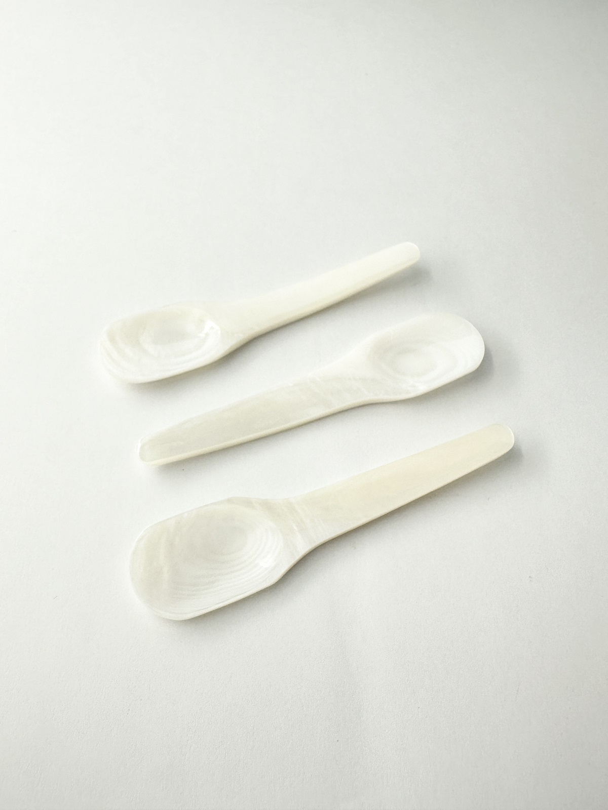 シェルスプーン #3031【約9ｃｍ】 En:Shell Spoon (size:approx.9cm)