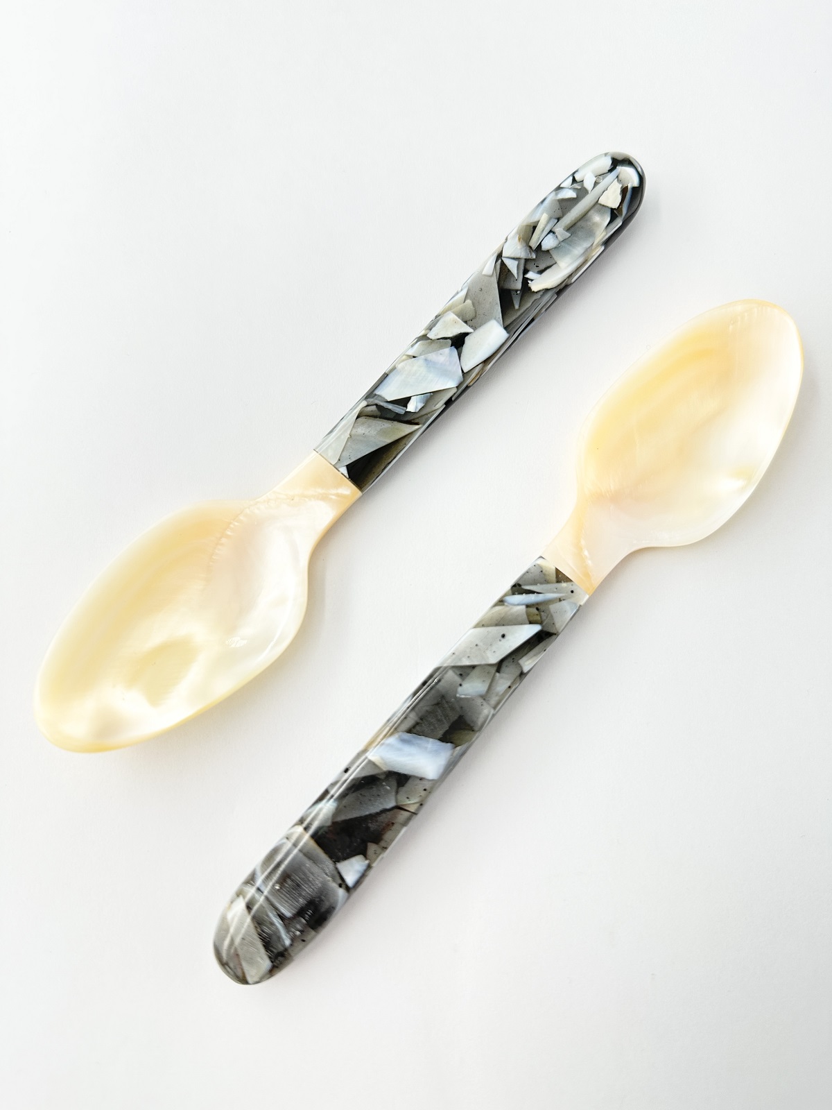 シェルスプーン #3009【16ｃｍ前後】 En:Shell Spoon (size:approx.16cm)