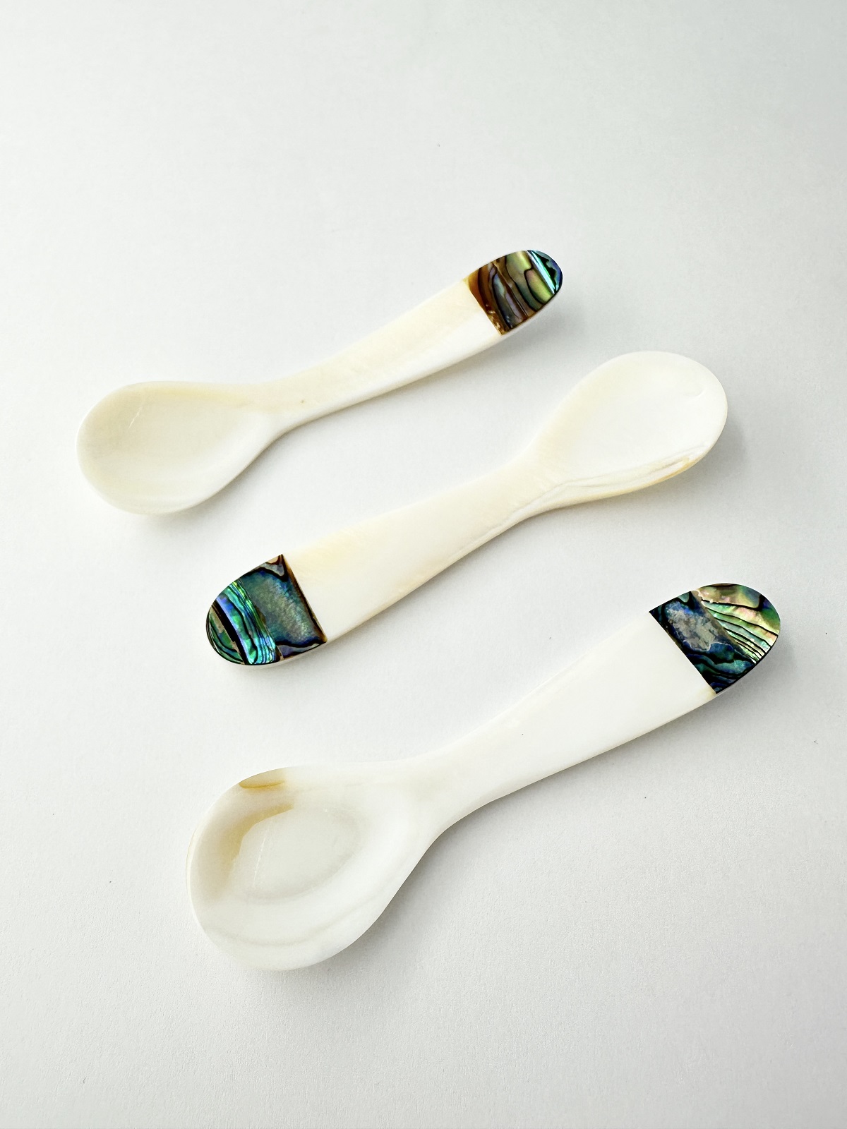 シェルスプーン #3034【約10ｃｍ】 En:Shell Spoon (size:approx.10ｃm)