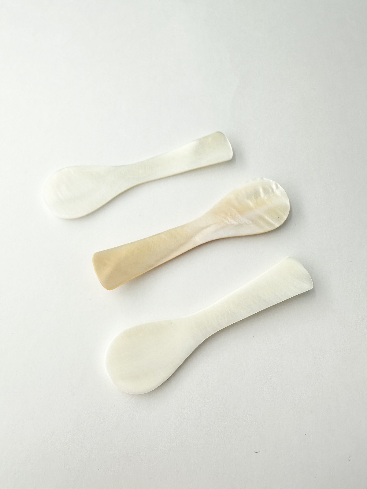 シェルスプーン #3021【約7.5ｃｍ】 En:Shell Spoon (size:approx.7.5cm)