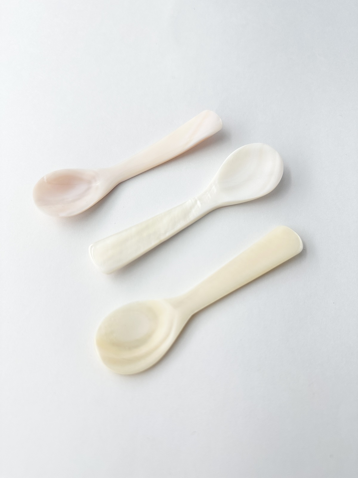 シェルスプーン #3022【約9ｃｍ】 En:Shell Spoon (size:approx.9cm)