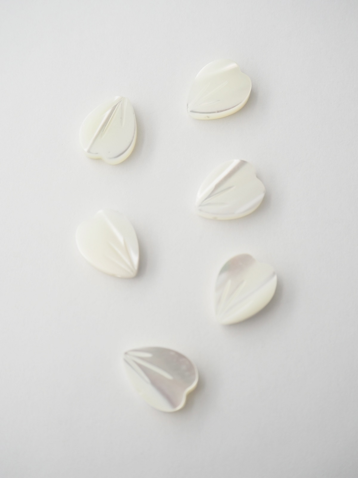 シェルビーズ -花びら(タカセガイ)【約9×12mm/1個】[メール便可]まとめ買い10%OFF #2070 En:Shell beads -Trocus 貝殻