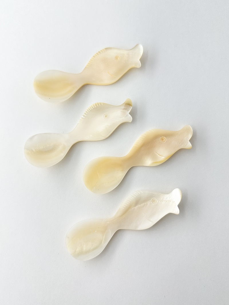シェルスプーン #3044【約8ｃｍ】 En:Shell Spoon (size:approx.8cm)