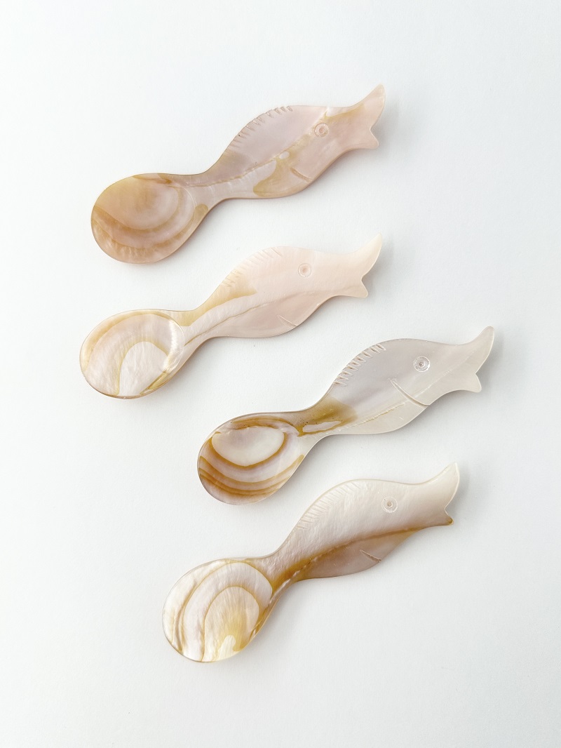 シェルスプーン #3045【約8.5ｃｍ】 En:Shell Spoon (size:approx.8.5cm)