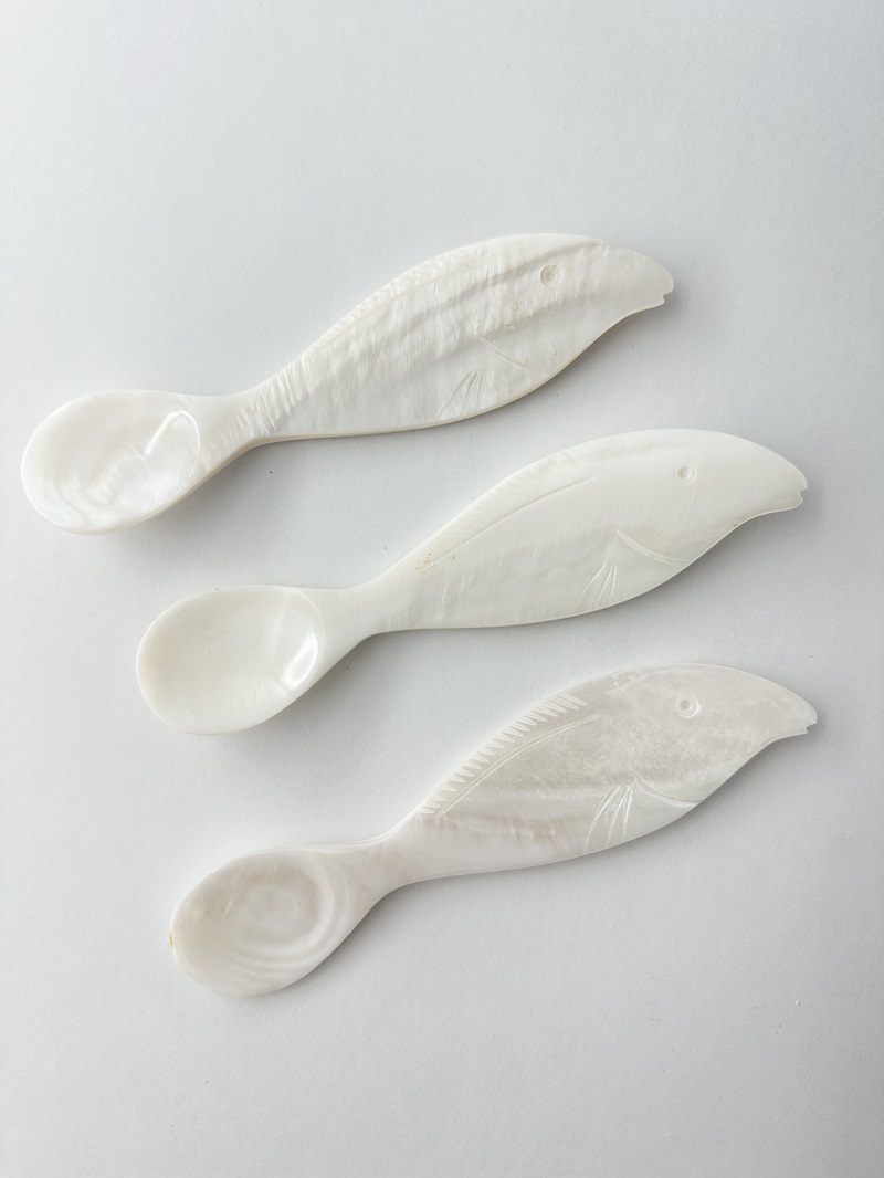 シェルスプーン #3047【12ｃｍ前後】 En:Shell Spoon (size:approx.12cm)