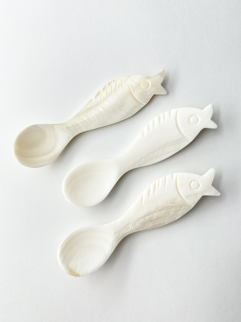 シェルスプーン #3048【10ｃｍ前後】 En:Shell Spoon (size:approx.10cm)
