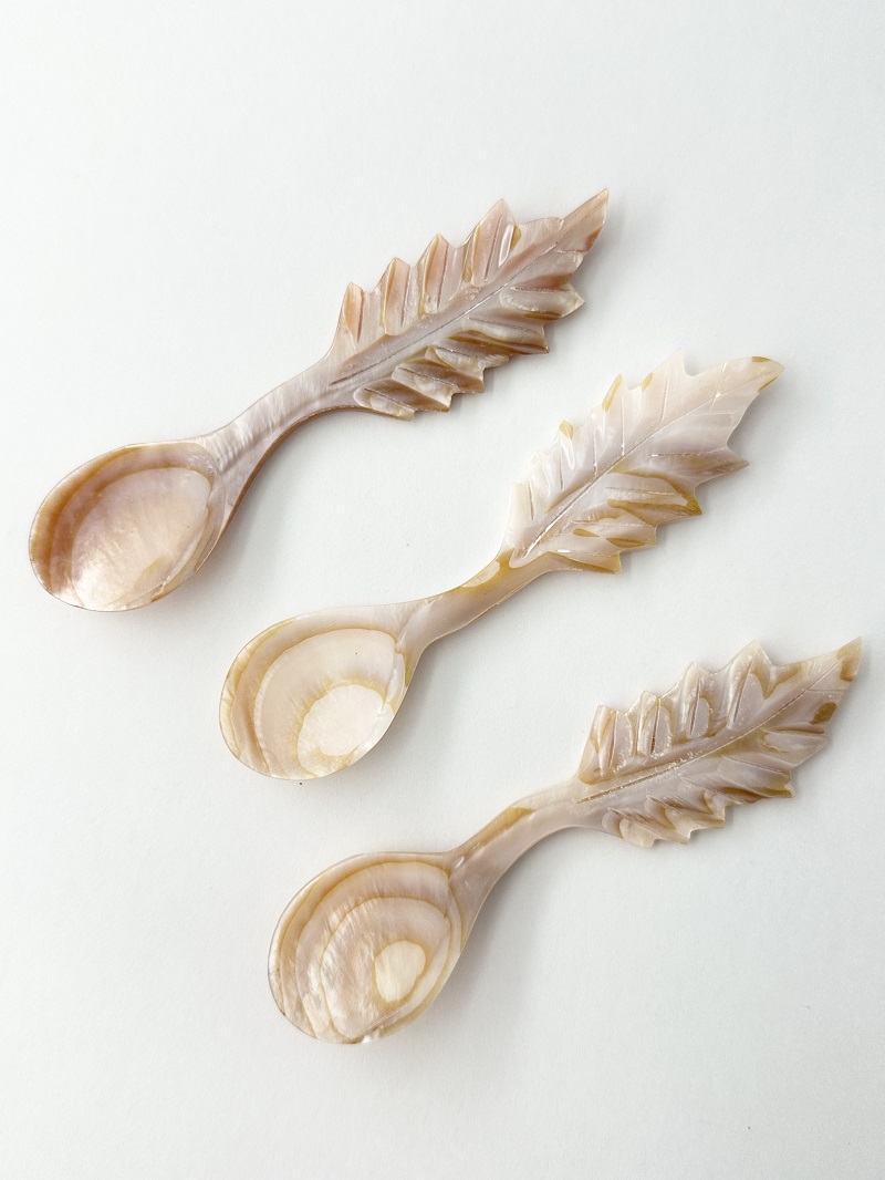 シェルスプーン #3052【10.5ｃｍ前後】 En:Shell Spoon (size:approx.10.5cm)