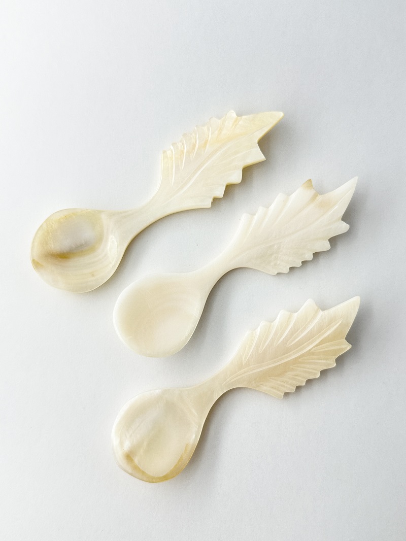 シェルスプーン #3053【10.5ｃｍ前後】 En:Shell Spoon (size:approx.10.5cm)