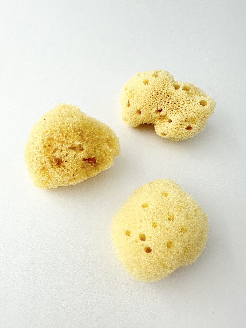 特選海綿【約5～6cm/3個入】[メール便可-4袋まで]　  En: Sea sponge(Size:5-6cm, per 3pcs)