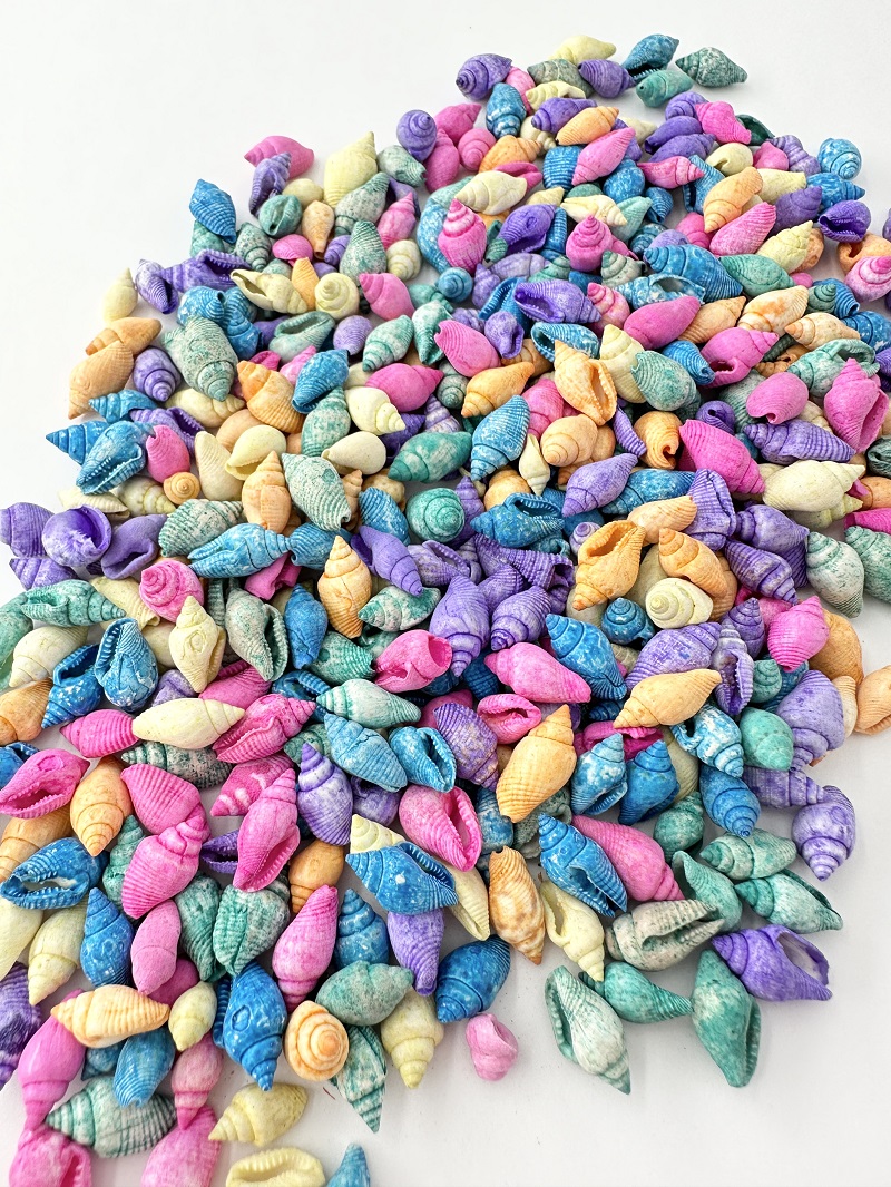 ナサダイドカラー【約1.0～1.5ｃｍ】[メール便可-500gまで]　En:  Nassa shell colored assorted(Size:1-1.5cm)