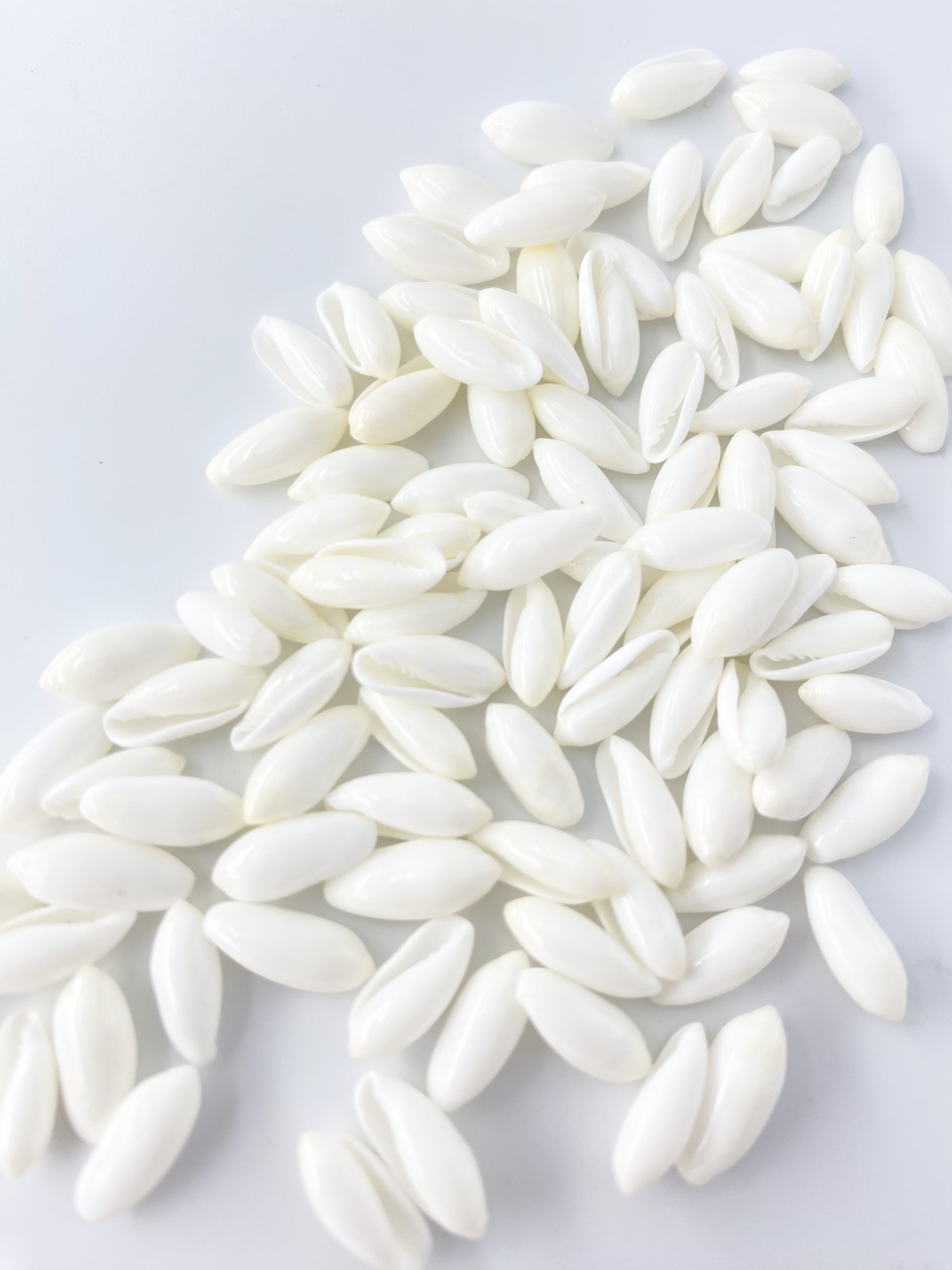 ライスシェルホワイト【1ｃｍ前後/約100個入】[メール便可]  En: Rice shell white(Size:1cm, per 100pcs)