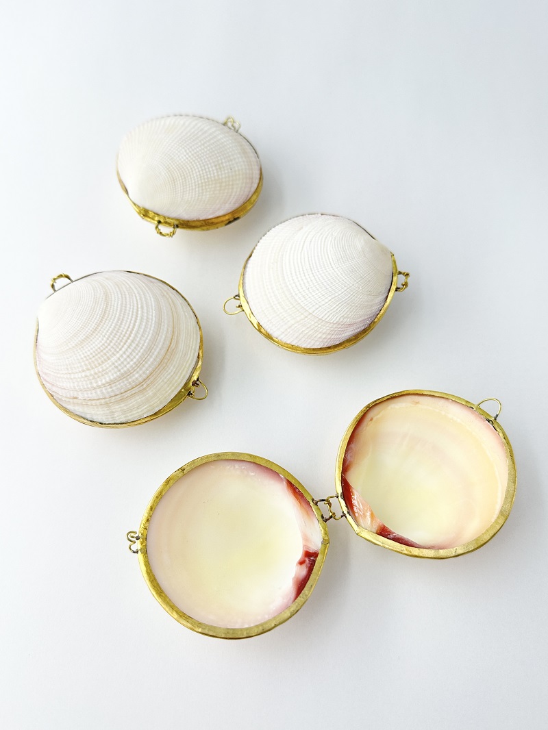 貝殻の小物入れ-ツキガイ(ミニ)-【6cm前後/1個】 En:  Shell coin purse -codakia tigerina- (size:approx.6cm, per 1pcs)