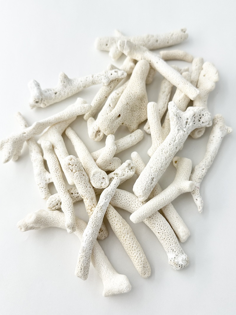 枝サンゴ-Ｍ-【約3～10ｃｍ/約1ｋｇ】 - Not for overseas sale -