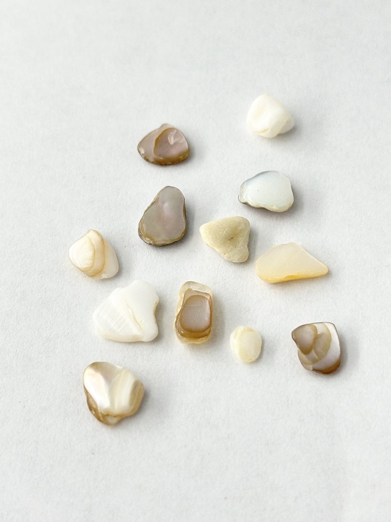 シェルフレーク ナチュラル(淡水真珠貝)【約5～10mm程度(約2g)】#2053[メール便可]まとめ買い20%OFF 貝殻