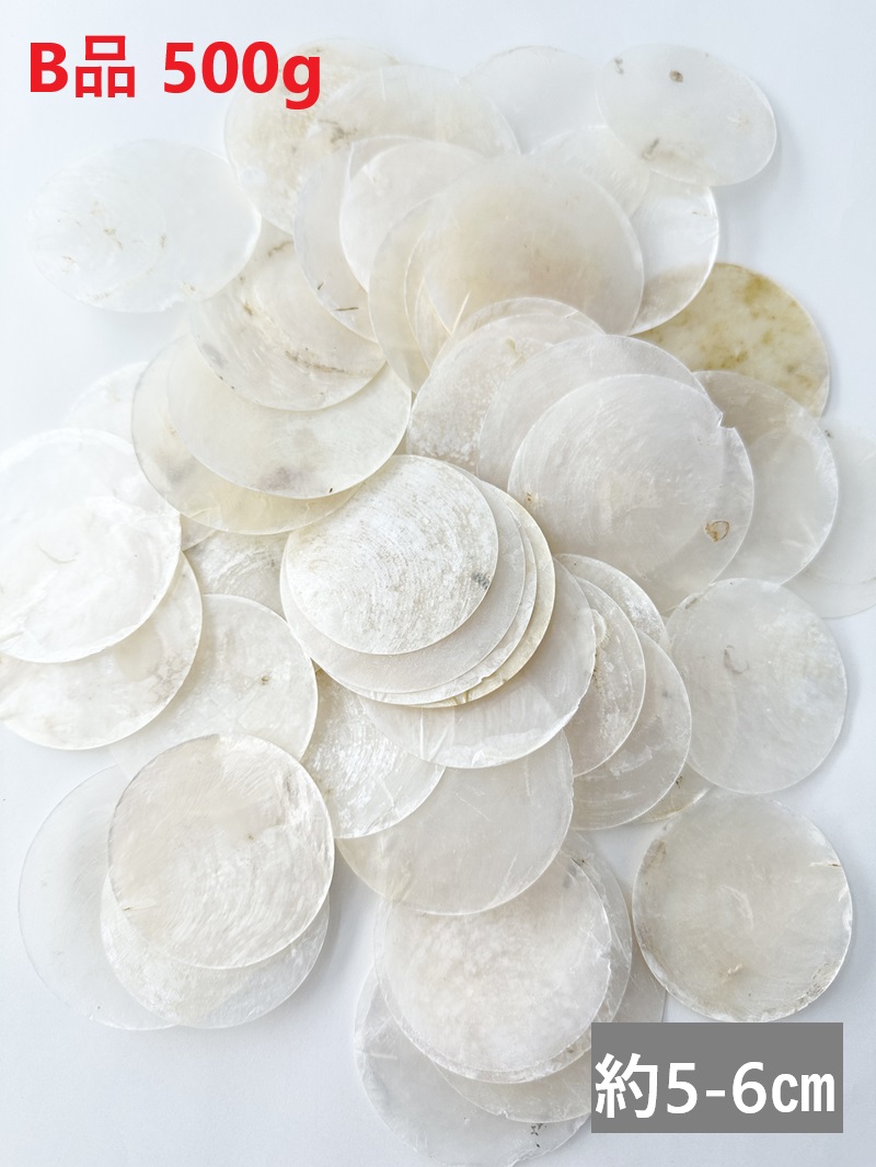お買い得☆カピスナチュラル-B品-【約5～6cm/約500ｇ】En: Capiz natural B grade (Size:5-6cm, per 500g) 貝殻