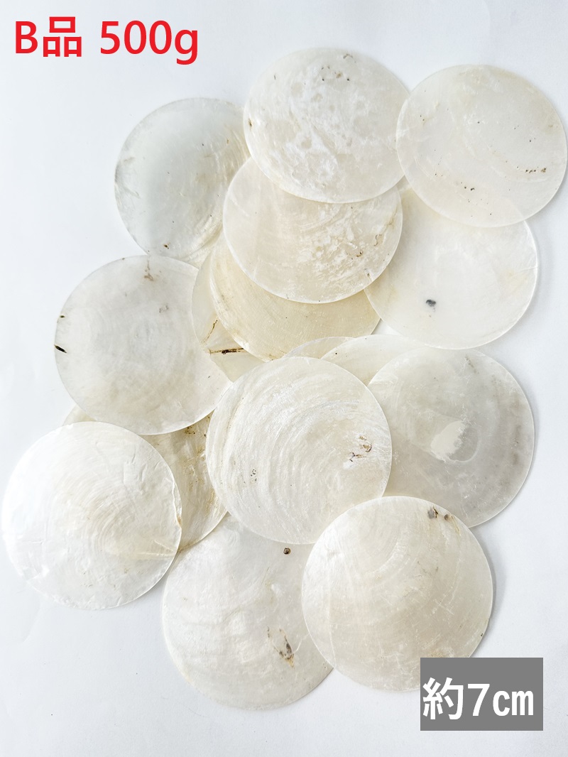 お買い得☆カピスナチュラル-B品-【約7cm/約500ｇ】En: Capiz natural B grade (Size:7cm, per 500g) 貝殻