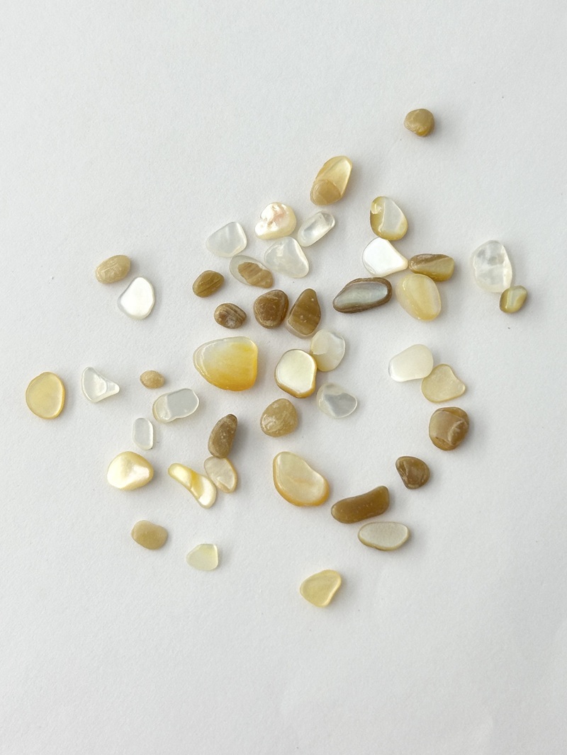 シェルフレーク(シロチョウガイ)【約3～5mm程度(約2g)】#2081[メール便可]まとめ買い20%OFF 貝殻