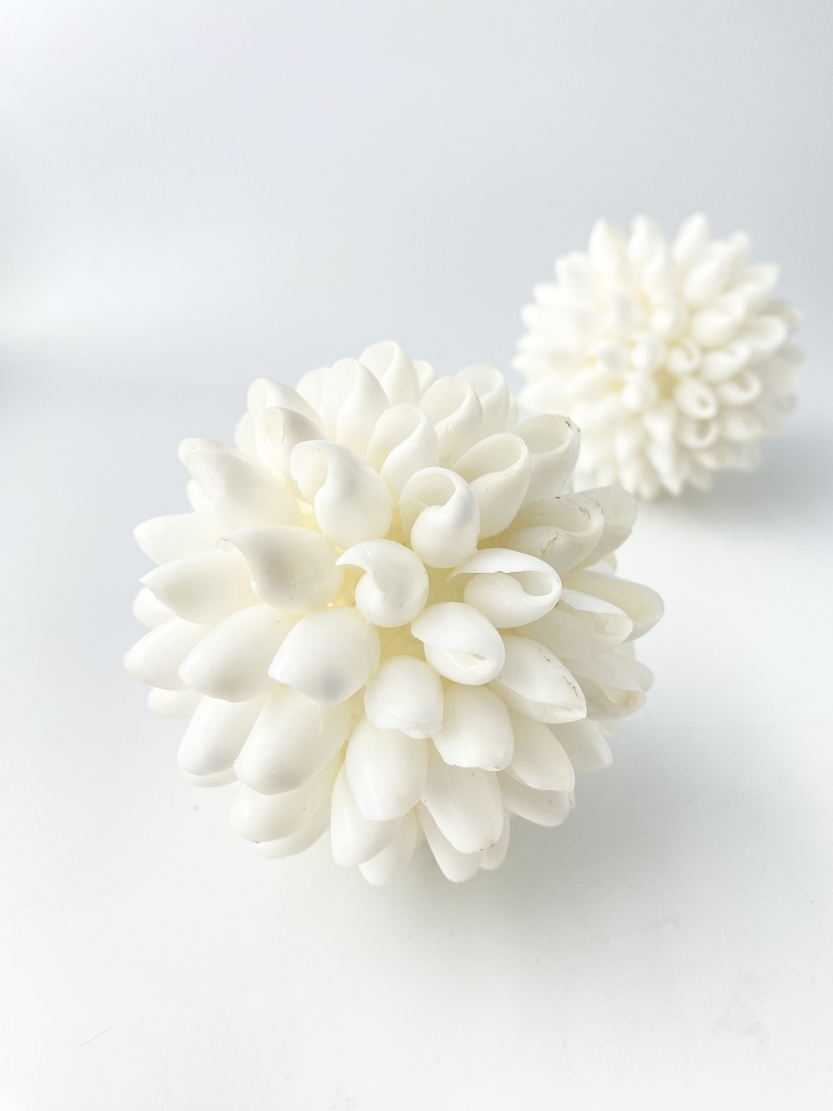 シェルボール/バブル【直径約7～8ｃｍ/1個】 En: Shell ball, bubbles shell (size:7-8cm, per 1pc)
