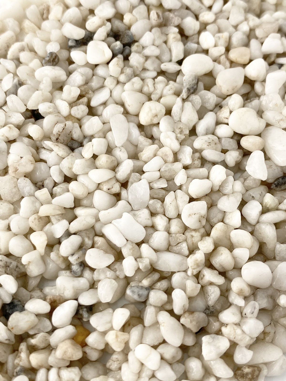 天然玉砂利　【那智白】 1KG　サイズ：１分 （3-5ｍｍ）　♪小粒！水槽底砂に最適♪ En:  Natural pebbles -nachijiro- (size:3-5mm, per 1kg)