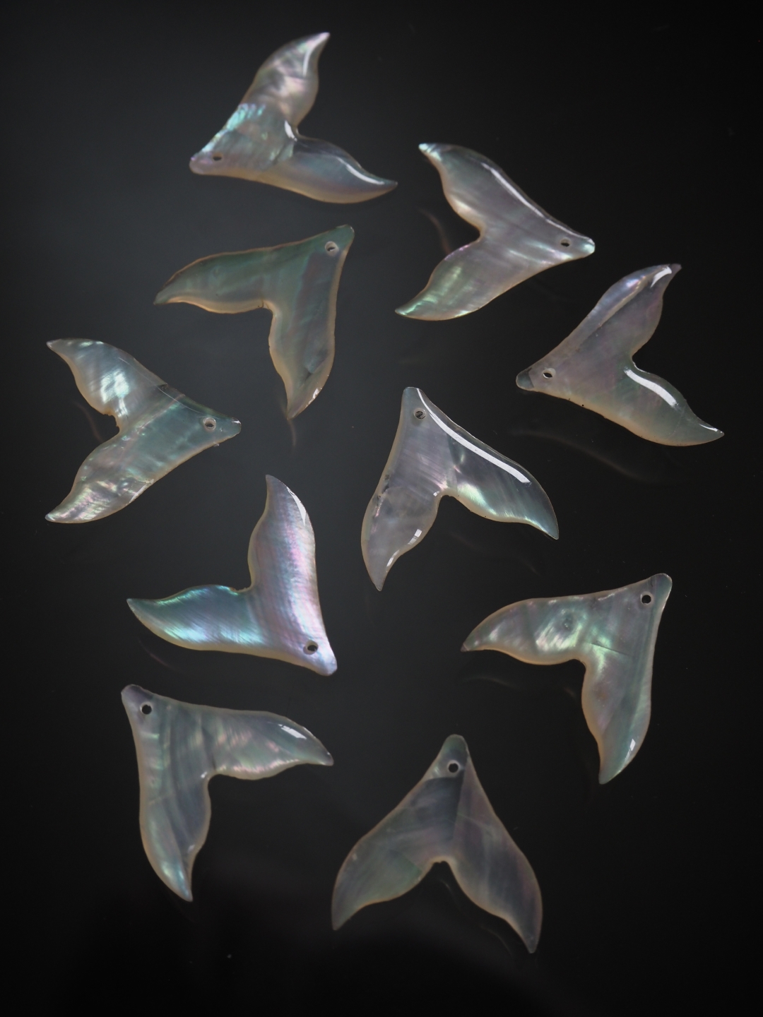 シェルビーズ - ホエールテール(ターバンシェル)【約20×20mm/1個】 [メール便可]まとめ買い10%OFF #1072 En:Shell Beads -turbo shell 貝殻