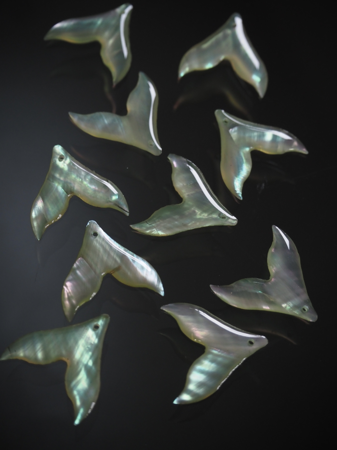 シェルビーズ - ホエールテール イエローグリーン(シロチョウガイ)【約20×20mm/1個】 [メール便可]まとめ買い10%OFF #1076 En:Shell Beads -White MOP 貝殻