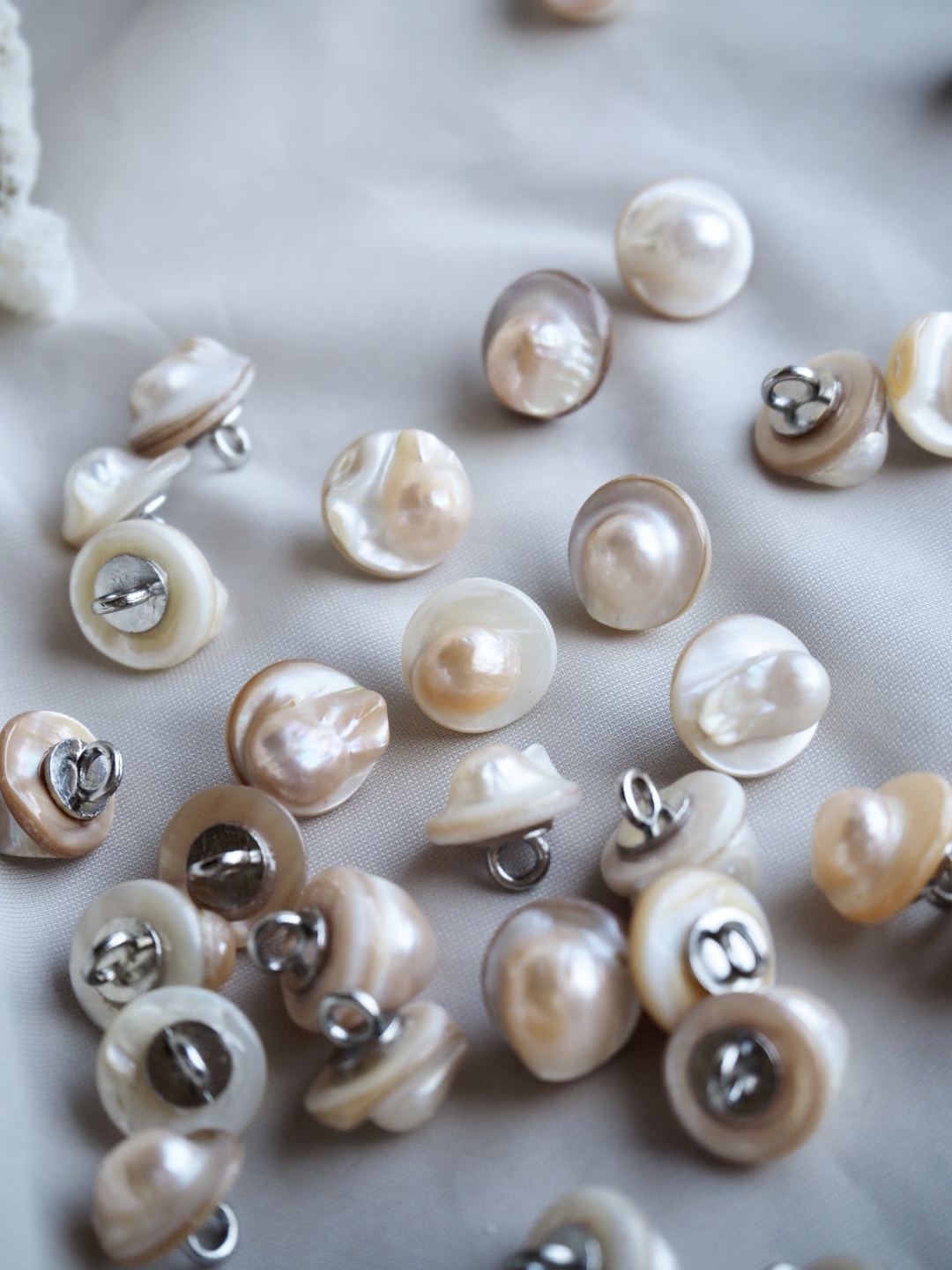 シェルボタン-淡水真珠貝【約11mm/1個】[メール便可]まとめ買い10%OFF #1038 En:Shell button -Freshwater pearl MOP 貝殻