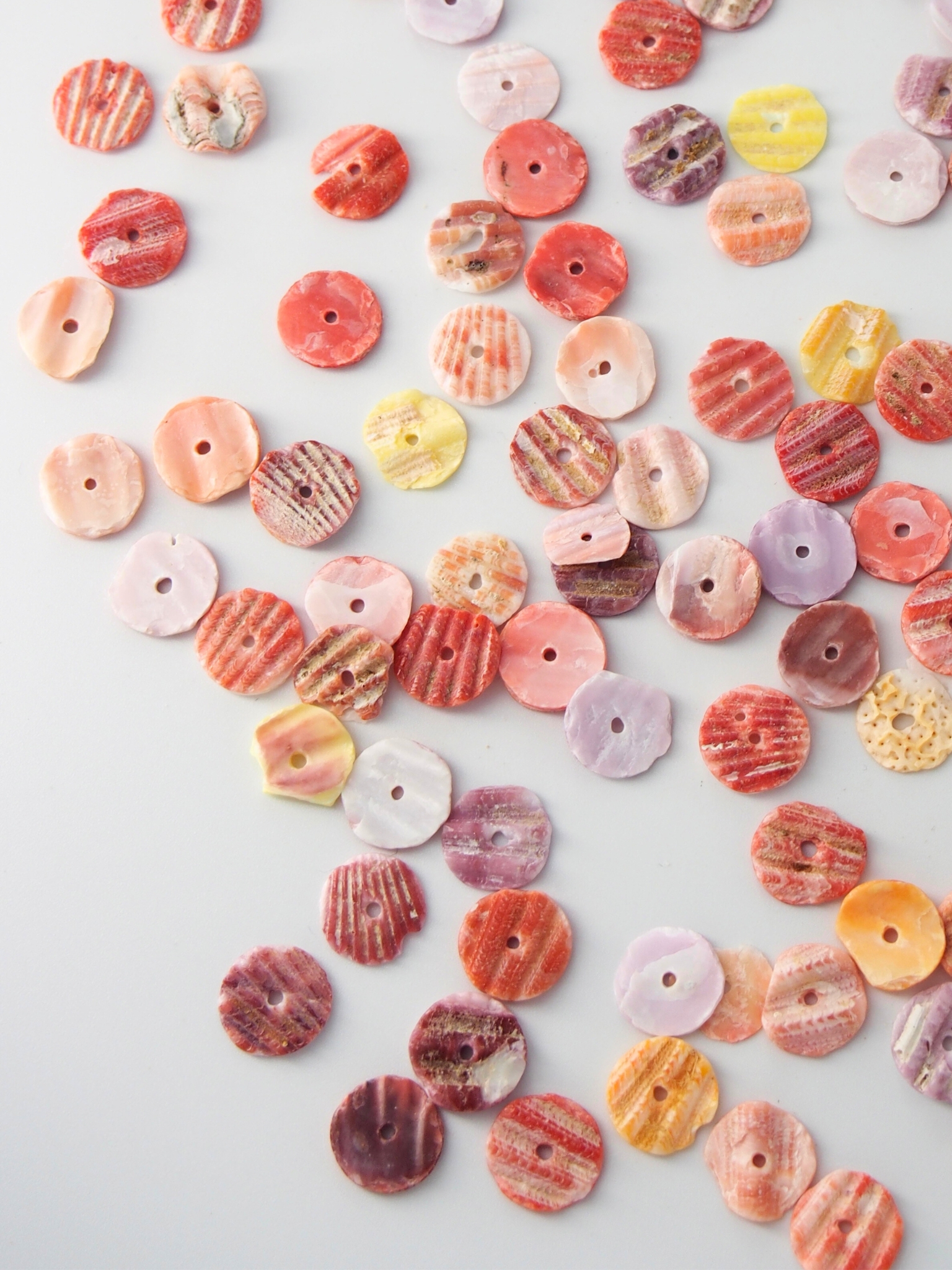 ヒオウギガイ スパンコール【10mm】#115[メール便可]En:Pecten Nobilis sequins 貝殻