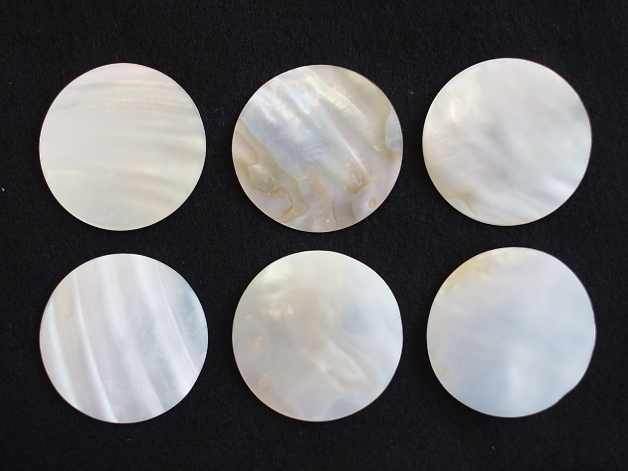 真珠貝プレート 淡水真珠貝 円形 1 約3 7ｃｍ 6枚 メール便可 En Shell Round Cut Freshwater Pearl Size 3 7cm Per 6pcs 貝殻の問屋さん Kaigaranotonya San