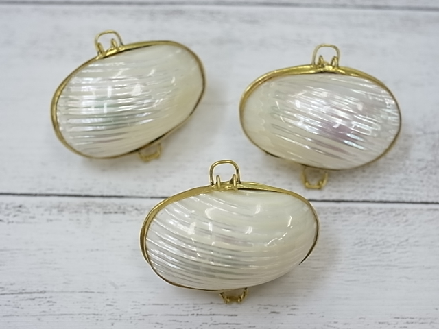小物入れ マルサザエ真珠磨き 約5ｃｍ前後 3個 En Shell Coin Purse Turbo Argyerostomus Size 5cm Per 3pcs 貝殻の問屋さん Kaigaranotonya San