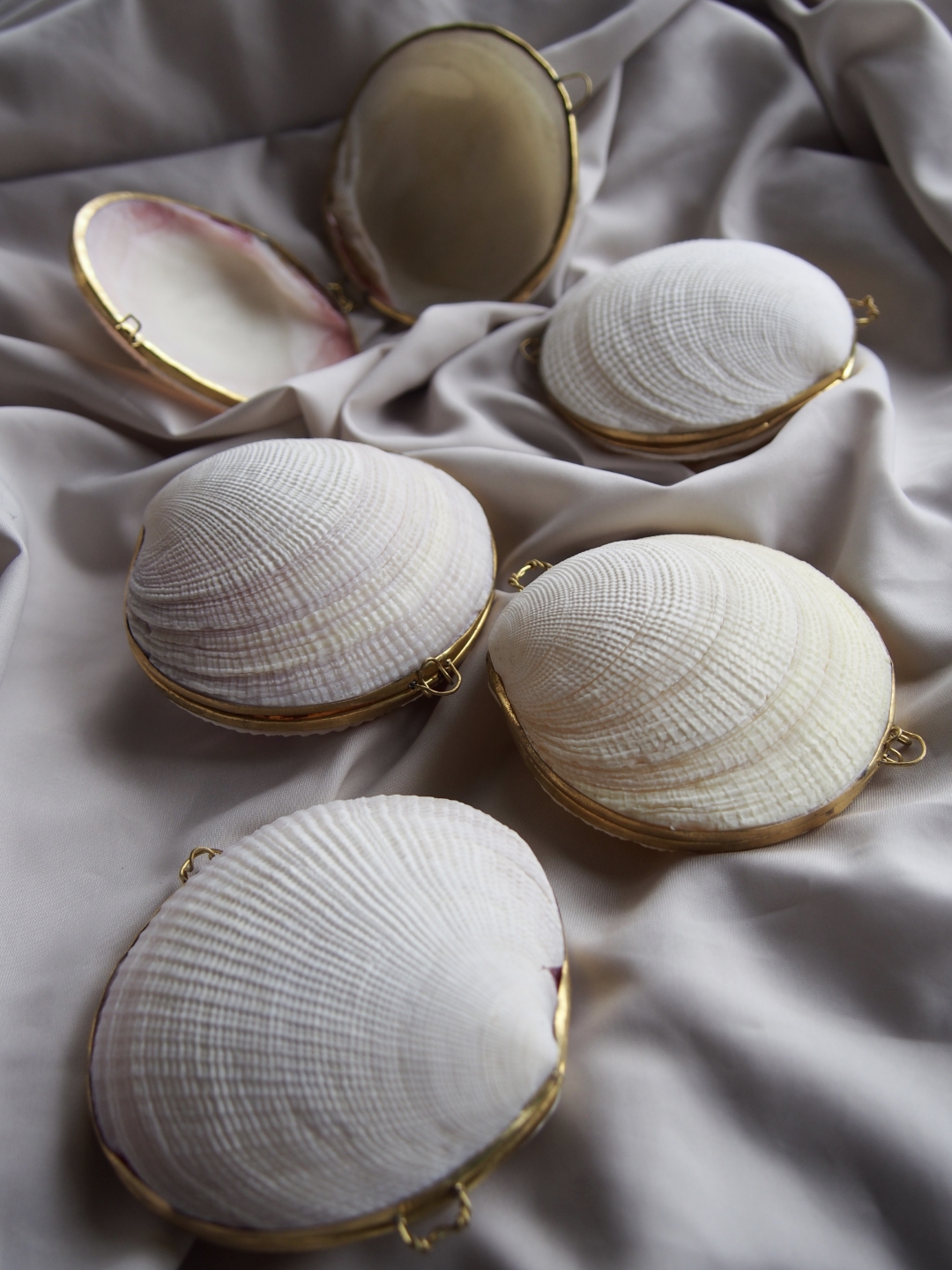 貝殻の小物入れ-ツキガイ-【7.5cm前後/1個】 En:  Shell coin purse -codakia tigerina- (size:approx.7.5cm, per 1pcs)