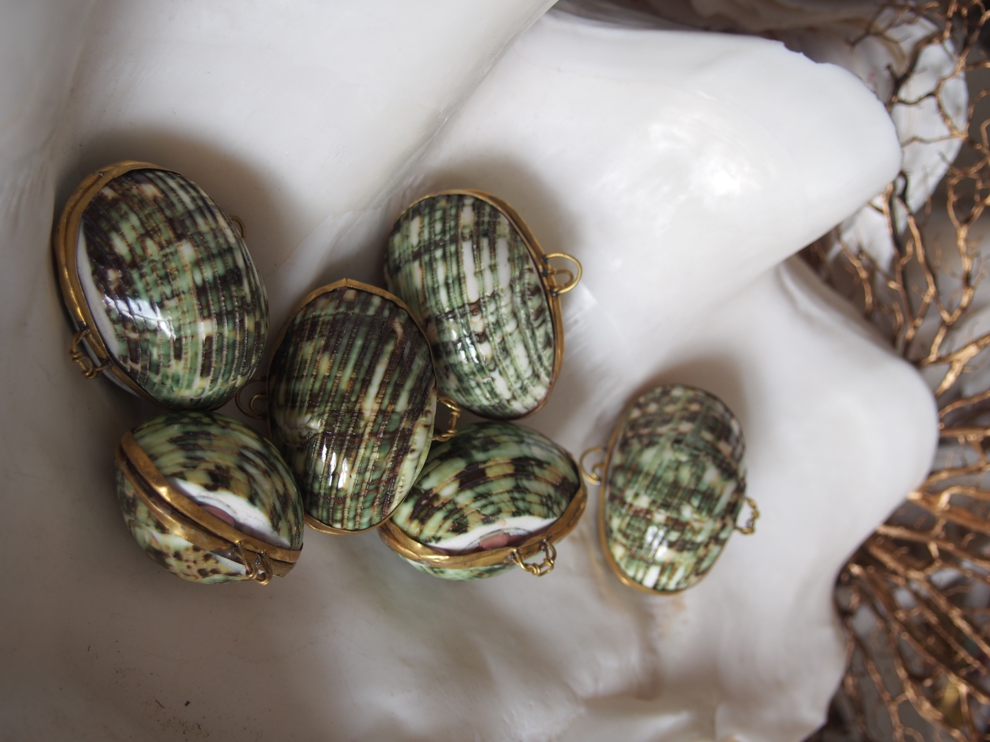 [B品]貝殻の小物入れ-ターボブロゴスグリーン磨き-【5cm前後/1個】 En:  Shell coin purse -Turbo Burgess polished-green-- (size:approx.5cm, per 1pcs) 貝殻