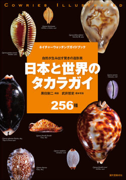 【図鑑】日本と世界のタカラガイ