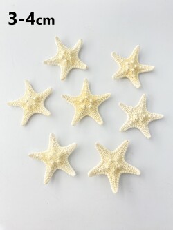 コブヒトデ【約3～4cm/10個入り】[メール便可-15袋まで] En: Philippine starfish, size: approx. 3-4cm, per:10pcs