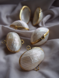 貝殻の小物入れ-マルサザエ真珠磨き-【4cm前後/1個】 En:  Shell coin purse -Turbo Argyerostomus- (size:approx.4cm, per 1pcs)