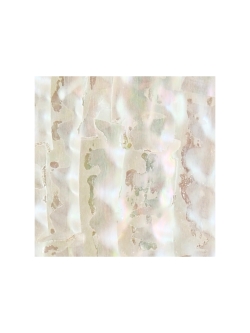 貝殻シート#25 ターバンシェル【4×4cm 厚さ0.18-0.2mm 】[メール便可] En: Shell veneer -turbo shell