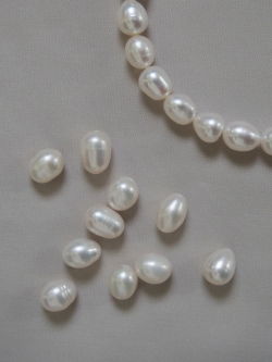 淡水パール -ポテト大-両穴（通し穴）【約5.0×7.0mm】#502[メール便可] 貝殻