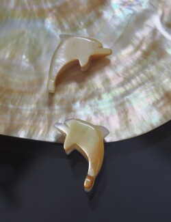 イルカ-54-(シロチョウガイ）【約2.2～2.5cm/1個】[メール便可]まとめ買い10%OFF En:Shell accesorry -dolphine- WMOP 貝殻