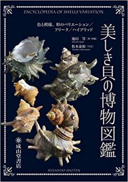【図鑑】美しき貝の博物図鑑 ー色と模様、形のバリエーション／フリーク／ハイブリッド