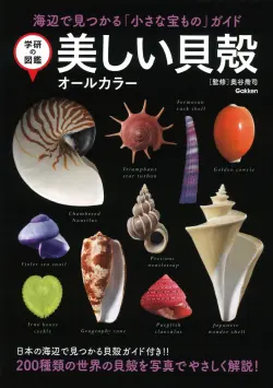 【図鑑】美しい貝殻　オールカラー　（学研の図鑑）