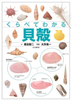 【図鑑】くらべてわかる貝殻