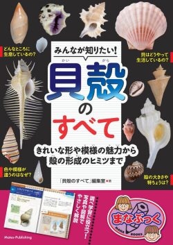 【図鑑】みんなが知りたい！貝殻のすべて