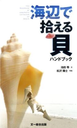 【図鑑】海辺で拾える貝ハンドブック
