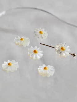 シェルビーズ-マーガレット イエロー 穴有(タカセガイ)【約8mm/1個】[メール便可] #1045 En:Trocus - Shell Beads 貝殻