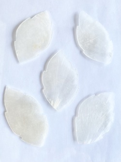 カピスナチュラル【リーフ(ギザギザ)】(約6cm前後/10枚)[メール便可-18袋まで]En:Capiz leaf shape(A)- natural 貝殻