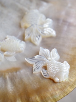 シェルビーズ-金魚 大 穴有(シロチョウガイ)【約20×30mm/1個】まとめ買い10%OFF [メール便可]#1206 貝殻