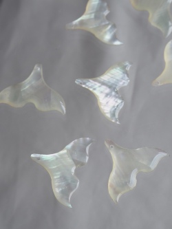 シェルビーズ - マーメイドテール(ターバンシェル)【約25×19mm/1個】 [メール便可]まとめ買い10%OFF #1222 En:Shell Beads -turbo shell 貝殻