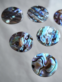 シェルビーズ-プレートラウンド穴有(パウアアバロン-ヘリトリアワビ)【約25mm】1個 [メール便可]まとめ買い10%OFF #1219 En:Shell Beads -Haliotis iris 貝殻
