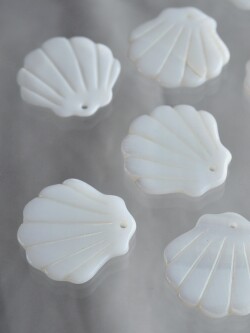 シェルビーズ -ホタテ オフホワイト穴有(淡水真珠貝)【約22mm/1個】[メール便可]まとめ買い10%OFF #1232 En: Shell Beads -freshwater pearl 貝殻