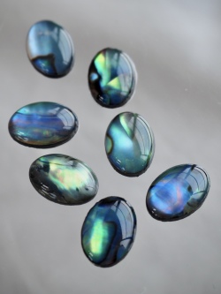 シェルカボション-オーバル(パウアアバロン-ヘリトリアワビ)【約8×13mm】1個 [メール便可]まとめ買い10%OFF #1241 En:Shell Beads -Haliotis iris