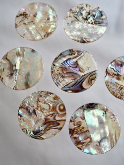 シェルカボション-ラウンド(パウアアバロン-ヘリトリアワビ)【約28mm】1個 [メール便可]まとめ買い10%OFF #1248 En:Shell Beads -Haliotis iris